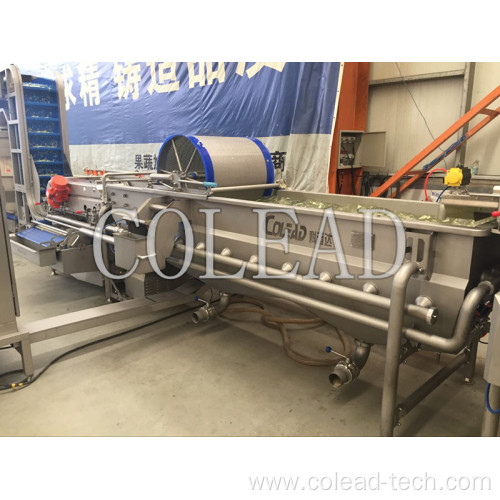 Processing Line Automatic Vegetable Washing Machine